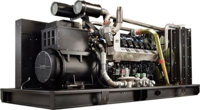 Газовый генератор Pramac GGW500G